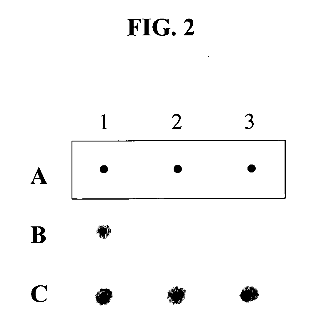 Hybridization portion control oligonucleotide and its uses