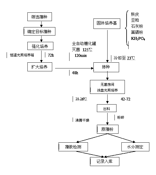 Breeding method of selenium-rich marine microalgae and application of selenium-rich marine microalgae in feed immunopotentiator