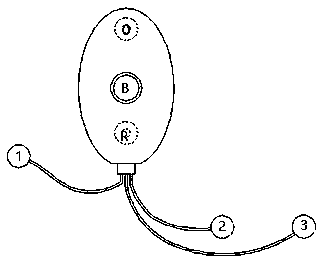 Multi-lead wearable electrocardiograph monitoring device