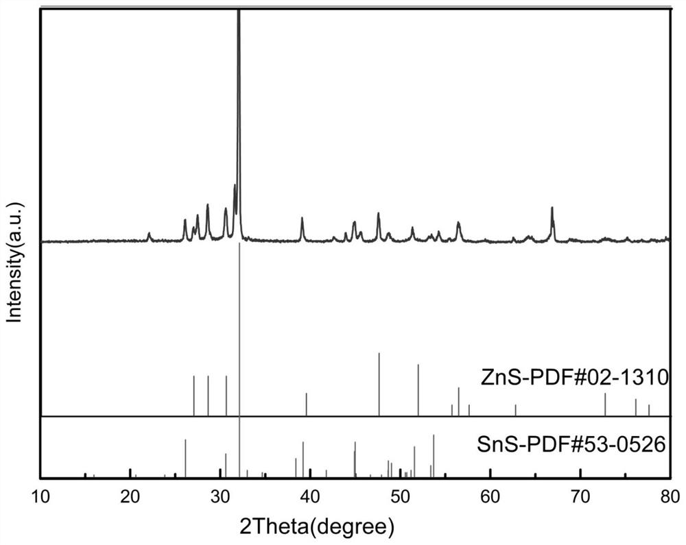 ZnS/SnS-coated NC hollow microsphere negative electrode material for lithium ion/sodium ion battery negative electrode and preparation method of ZnS/SnS-coated NC hollow microsphere negative electrode material