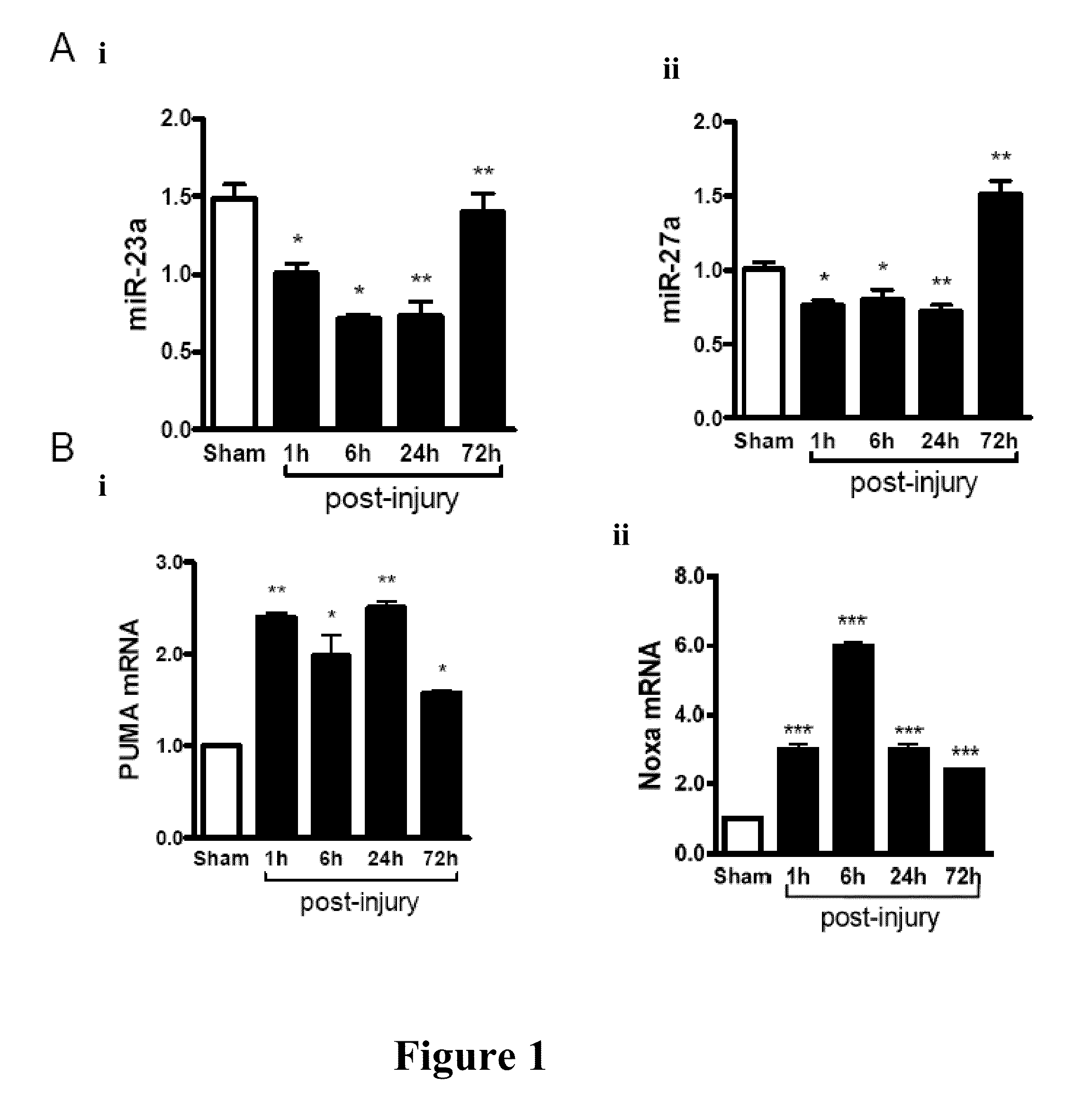 Use of miR-23a-3p and/or miR-27a-3p mimics as therapeutic agents for inhibition of neuronal apoptosis following brain injury