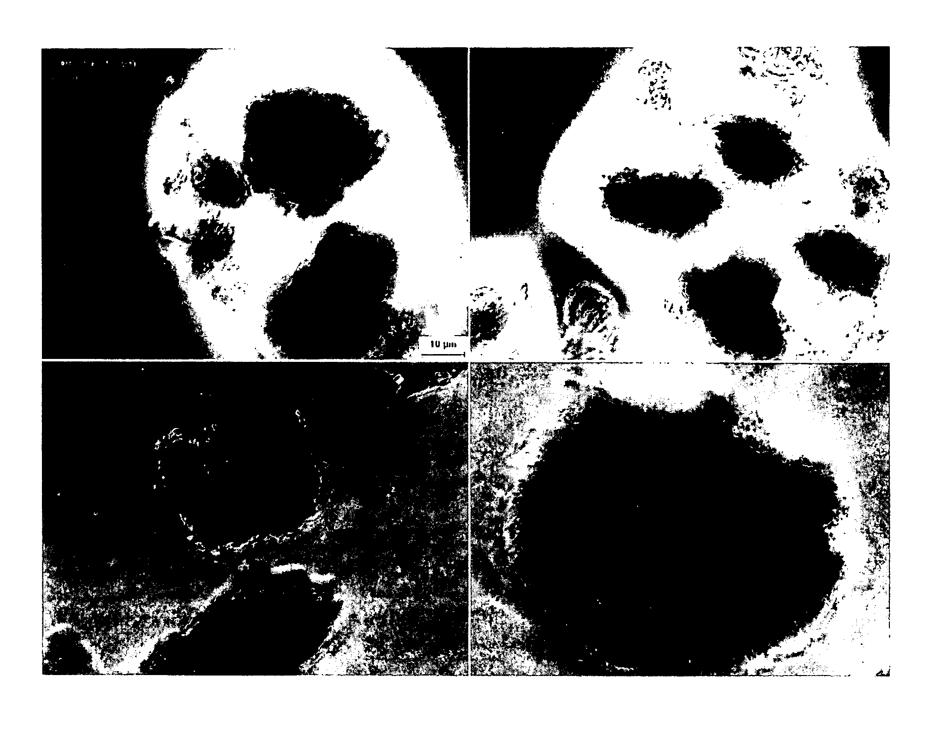 Nanoparticulate formulations of docetaxel and analogues thereof