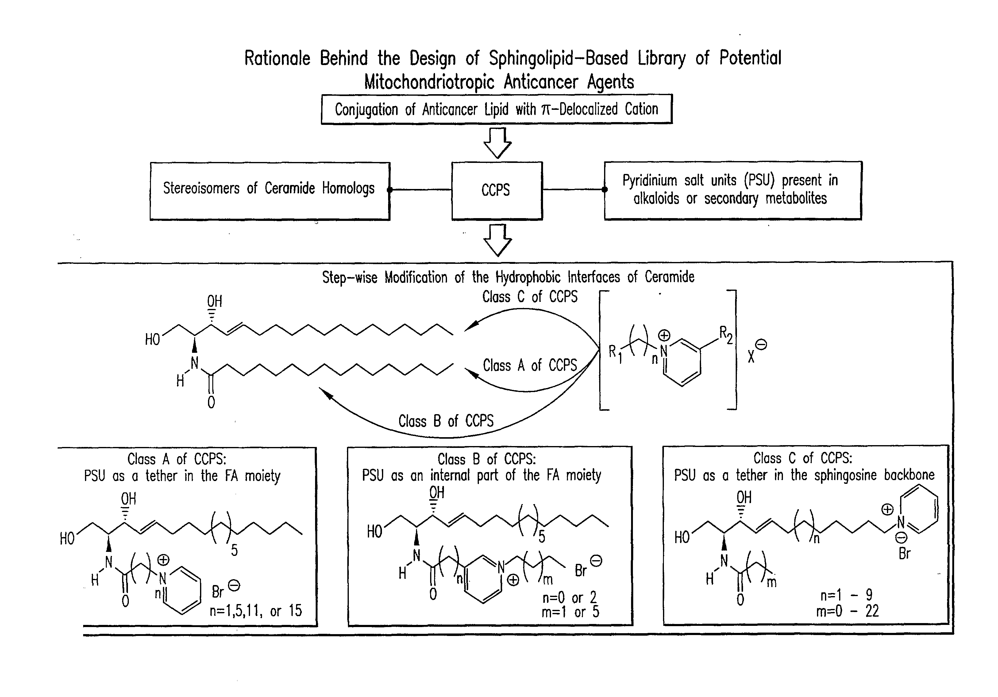 Cationic Ceramides, And Analogs Thereof, And Their Use For Preventing Or Treating Cancer