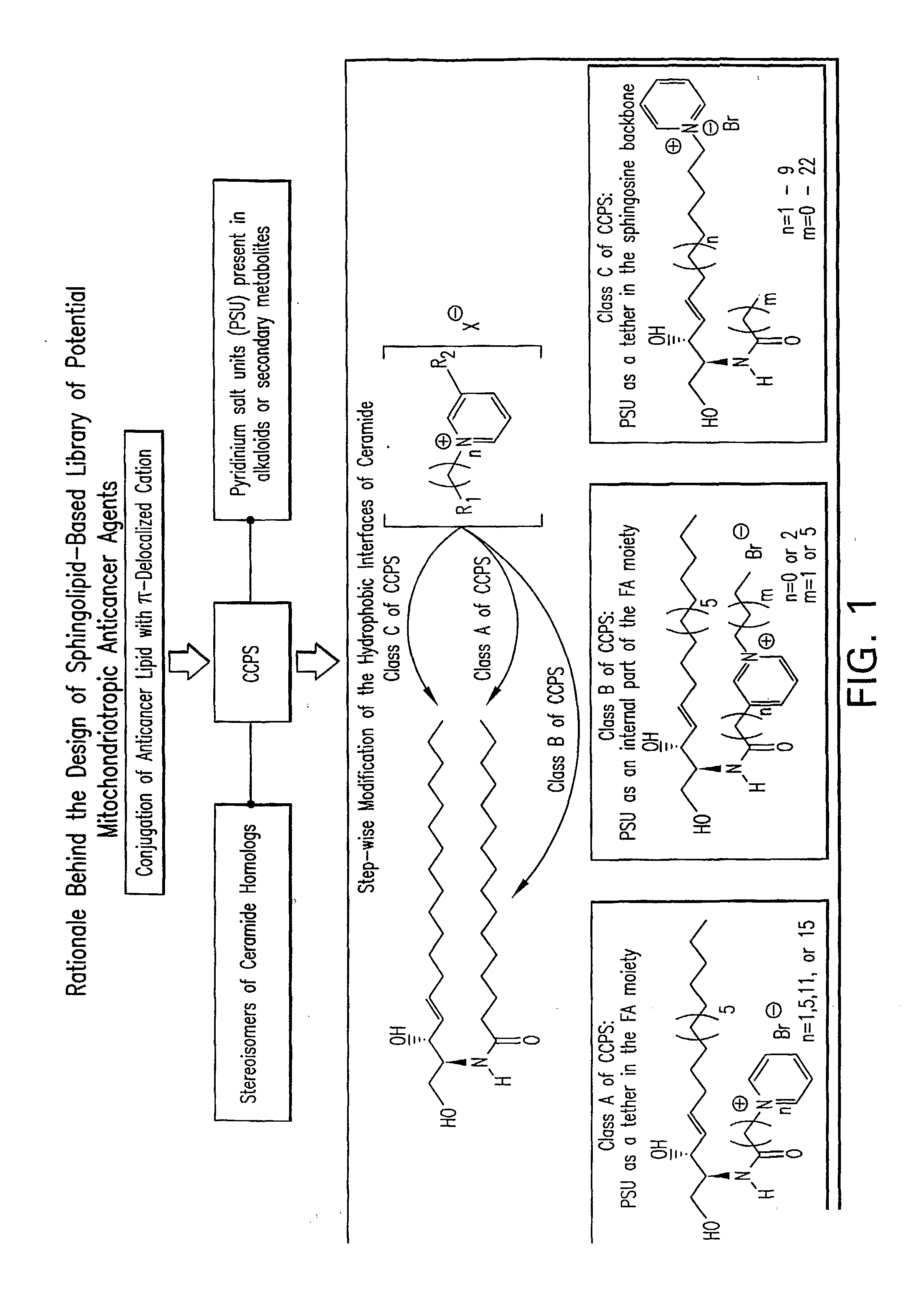 Cationic Ceramides, And Analogs Thereof, And Their Use For Preventing Or Treating Cancer