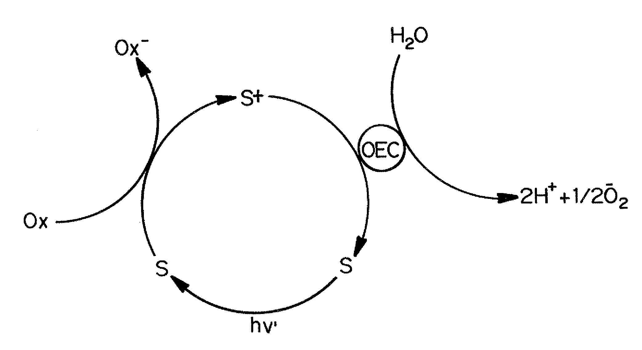 Polyoxometalate water oxidation catalysts and methods of use thereof