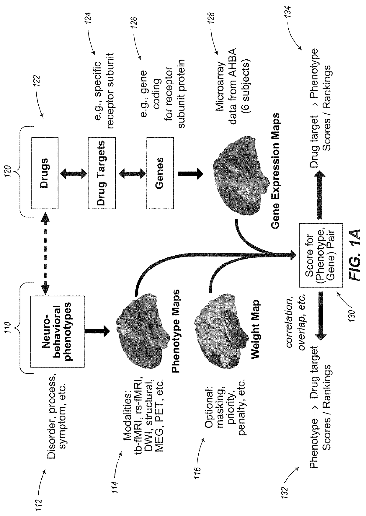 Methods and systems for computer-generated predictive application of neuroimaging and gene expression mapping data