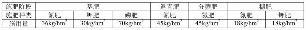 Rice field greenhouse gas emission reduction method based on straw returning