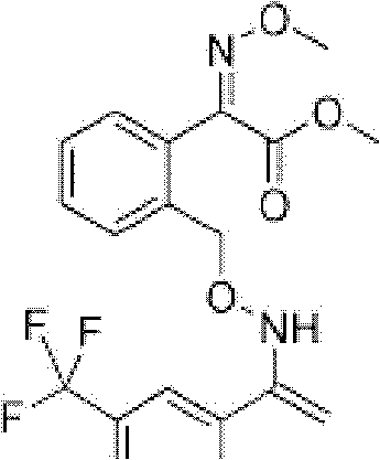 Bactericidal composition containing thifluzamide and trifloxystrobin