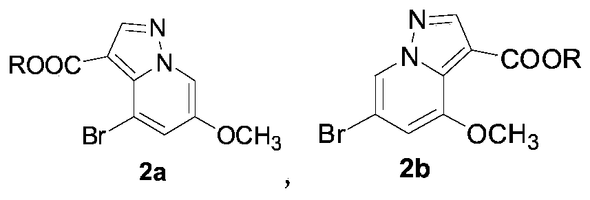 RET kinase inhibitor intermediates and preparation method thereof