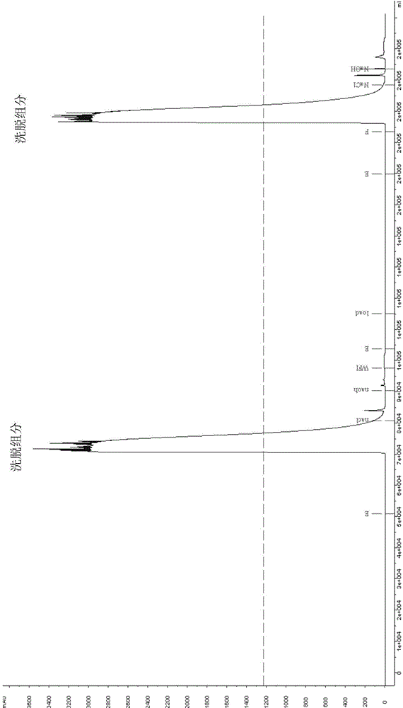 Separation and purification method for monoclonal antibody