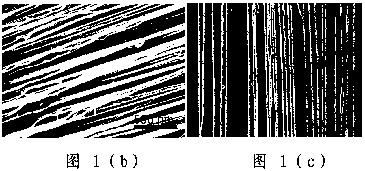 Horizontal directional carbon nanotube array and preparation method thereof