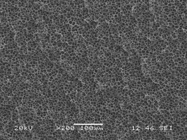 Industrially-applicable method for preparing polymer foamed material by using supercritical fluid technology