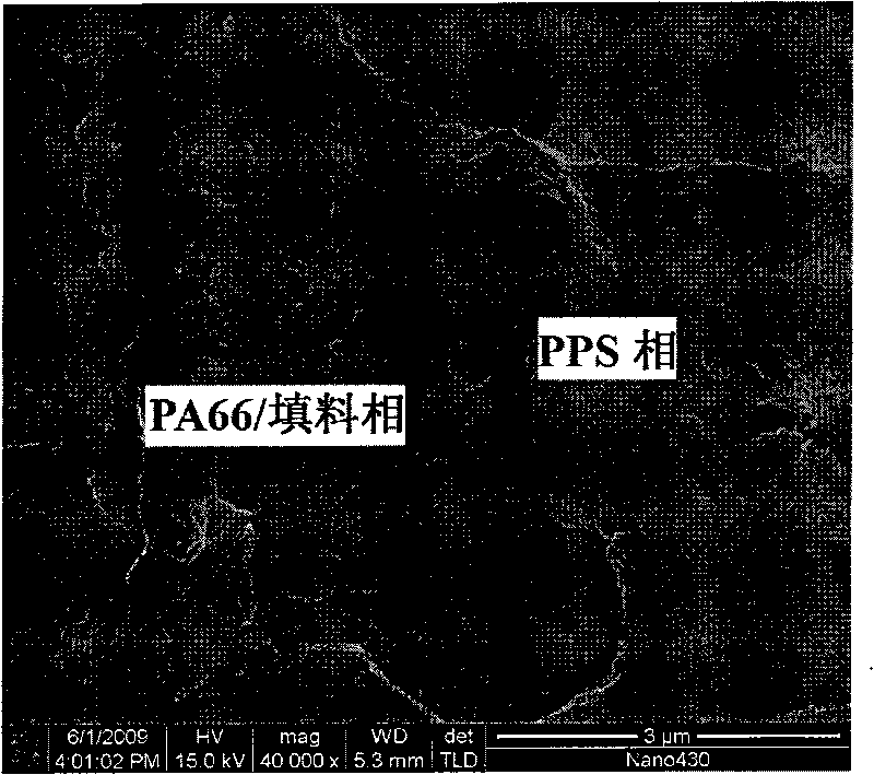 Filling-type thermal-conducting electric-insulating polyphenyl thioether and polyamide blended alloy and preparation method thereof