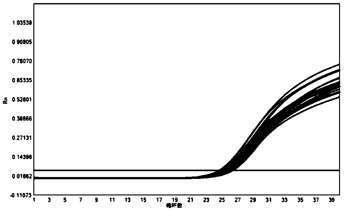 Kit and method for real-time fluorescence quantitative detection of hepatitis B virus (HBV) deoxyribonucleic acid (DNA) in serum