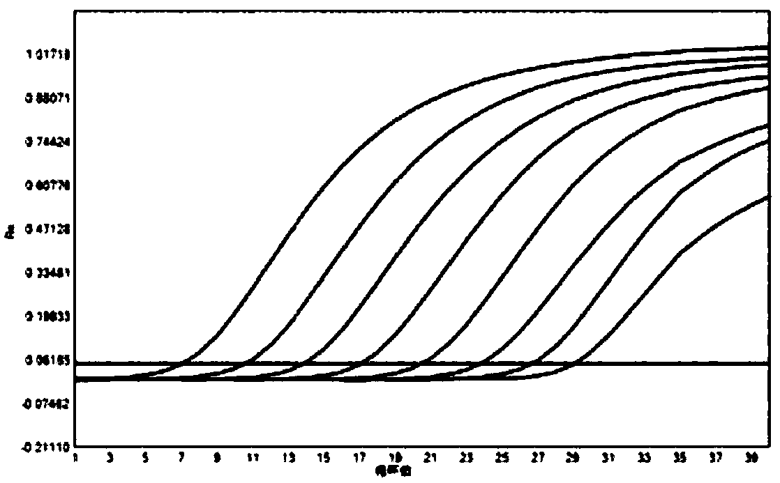 Kit and method for real-time fluorescence quantitative detection of hepatitis B virus (HBV) deoxyribonucleic acid (DNA) in serum