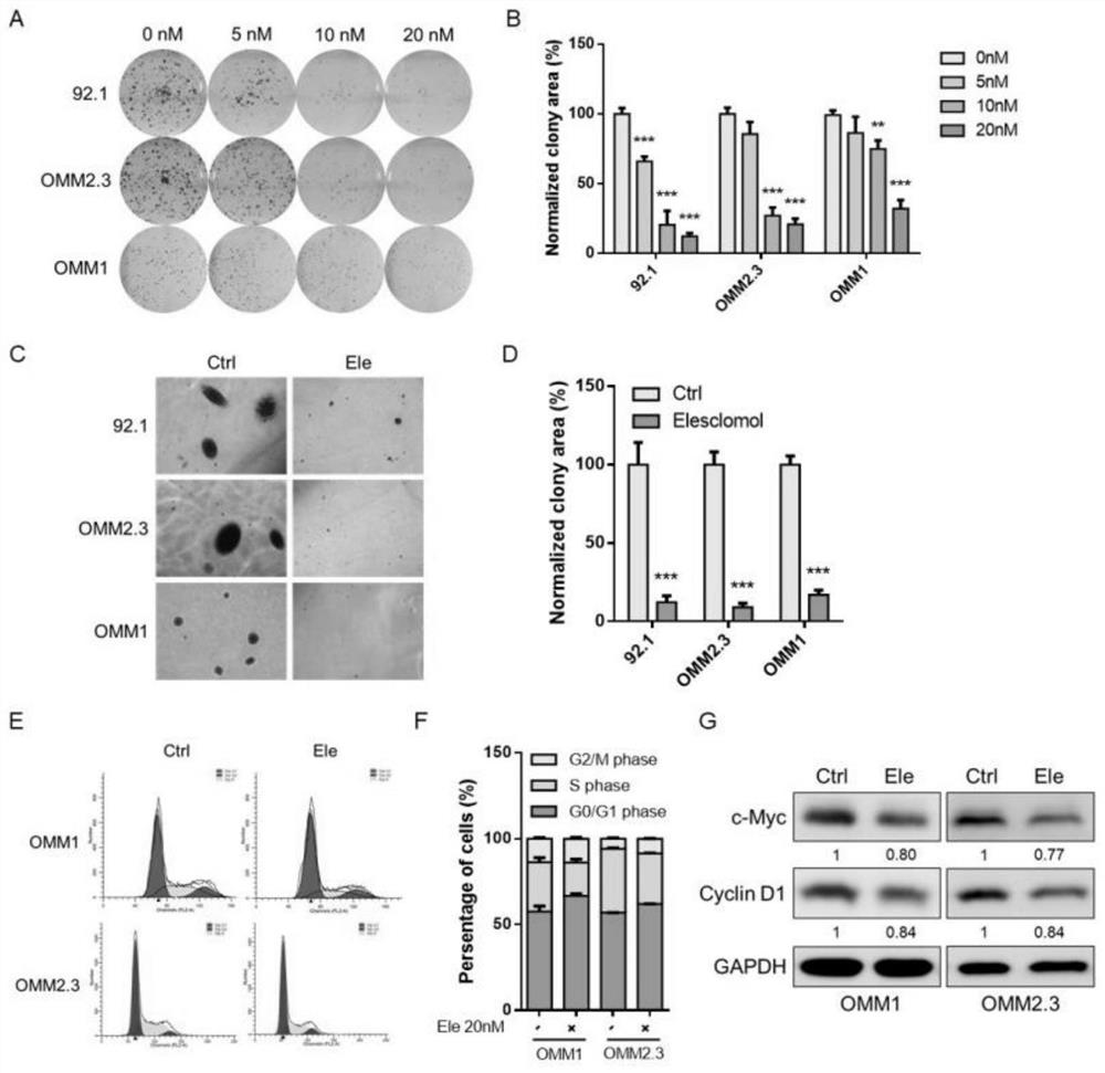 Application of a small molecule in the preparation of drugs for mutant uveal melanoma