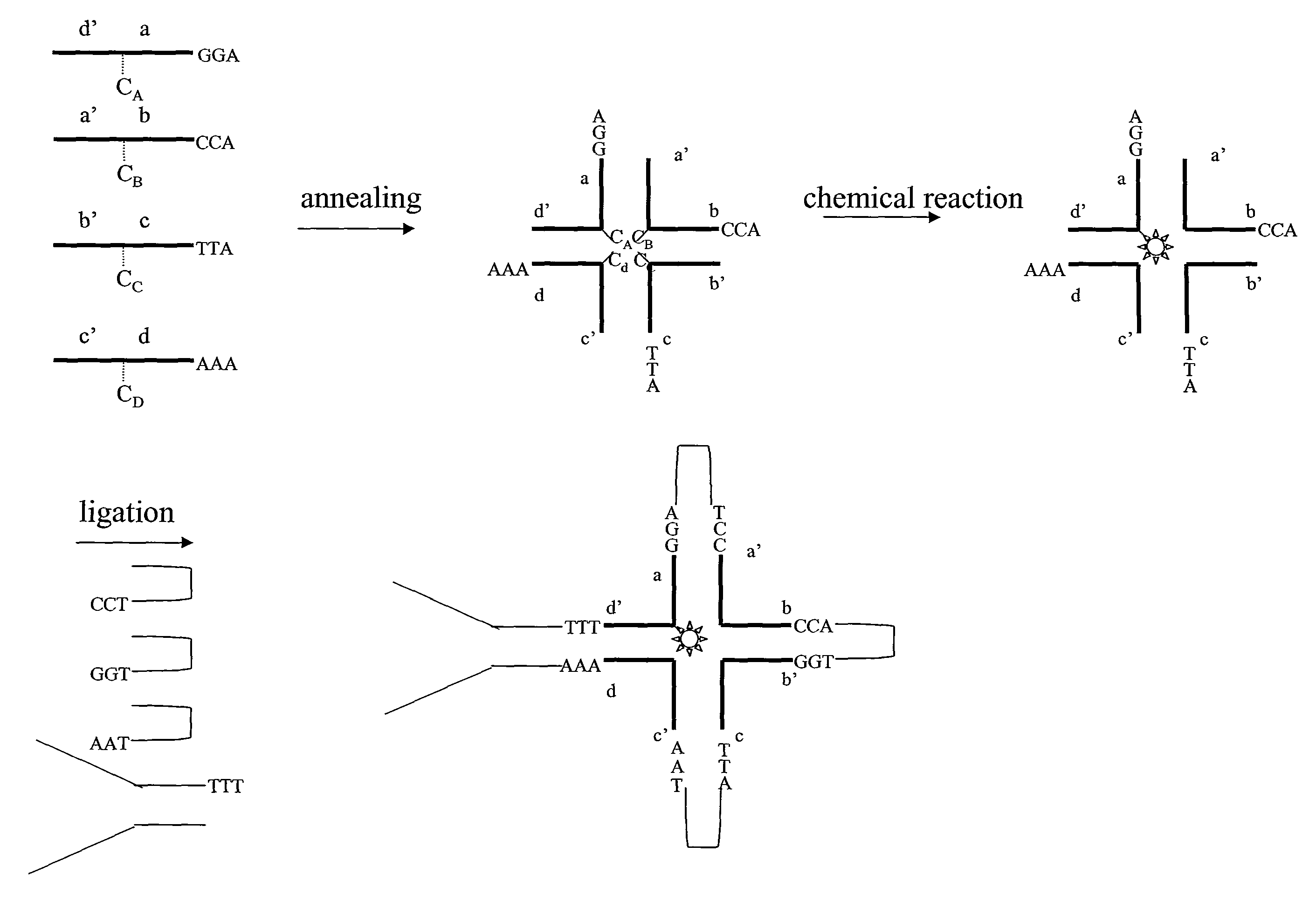 Structural nucleic acid guided chemical synthesis