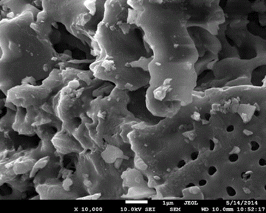 Kieselguhr-based particle adsorbent and preparation and modification method thereof