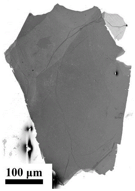 Preparation method of large-size graphene oxide or graphene