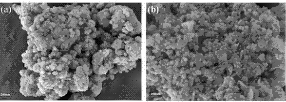 Preparation method for feather-keratin-modified cadmium sulfide photocatalyst