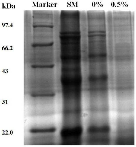 A strain of Lactobacillus plantarum and its application in fermented feed