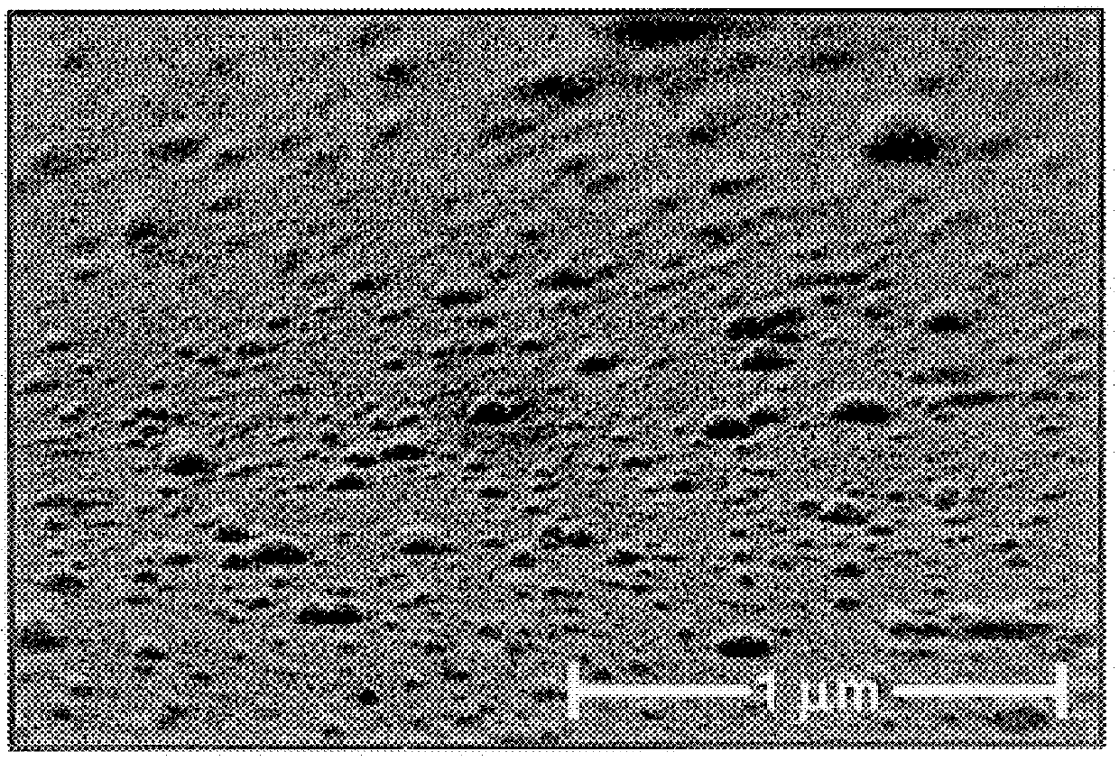 Mesoporous transition metal oxide thin films and methods of making and uses thereof