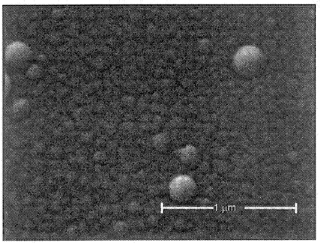 Mesoporous transition metal oxide thin films and methods of making and uses thereof