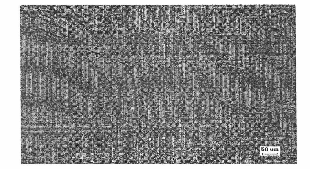 Implants comprising biodegradable metals and method for manufacturing the same