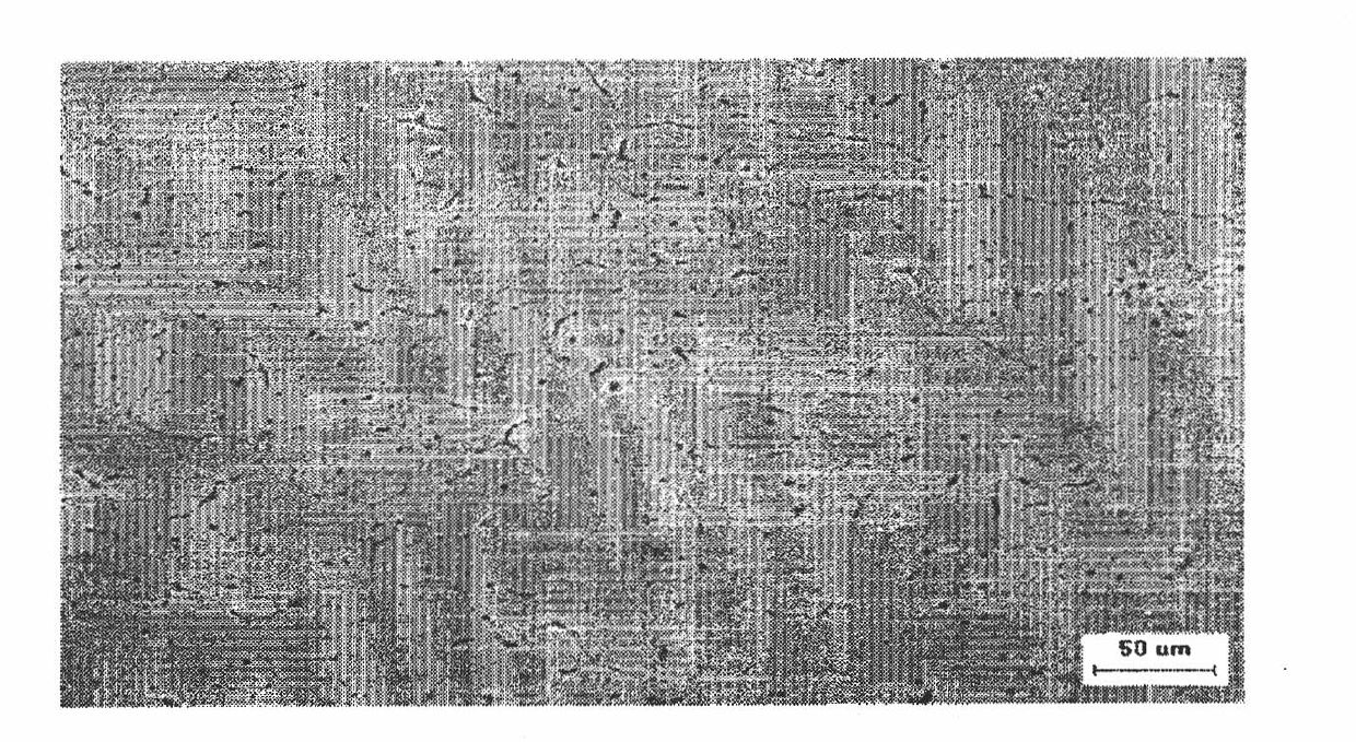 Implants comprising biodegradable metals and method for manufacturing the same