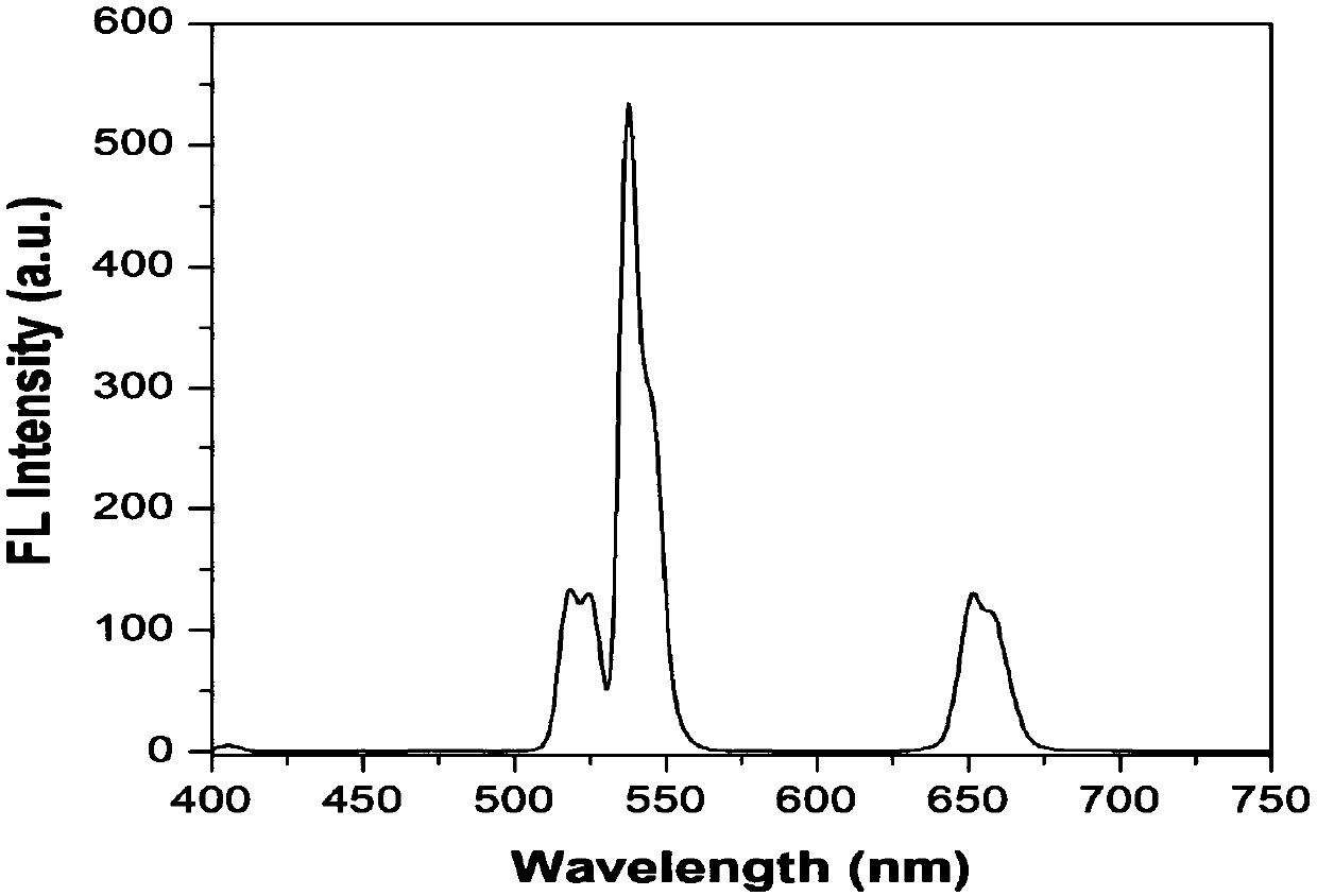 Excited light regulated red-green emitting rare earth up-conversion nanoparticle and preparation method thereof