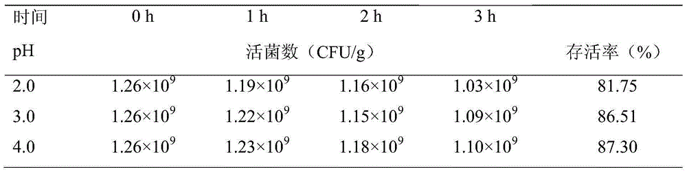 Bacillus coagulans-Lactobacillus casei-Lactobacillus plantarum probiotic inoculum and preparation thereof