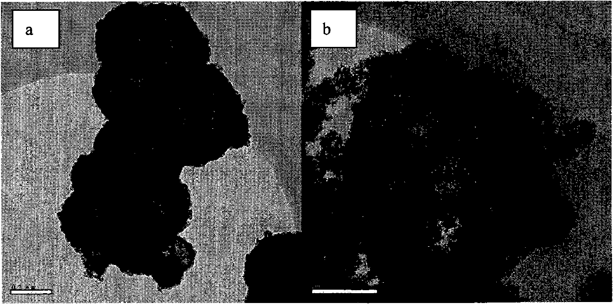 Preparation method and application of ZnO-doped TiO2 composite hollow sphere