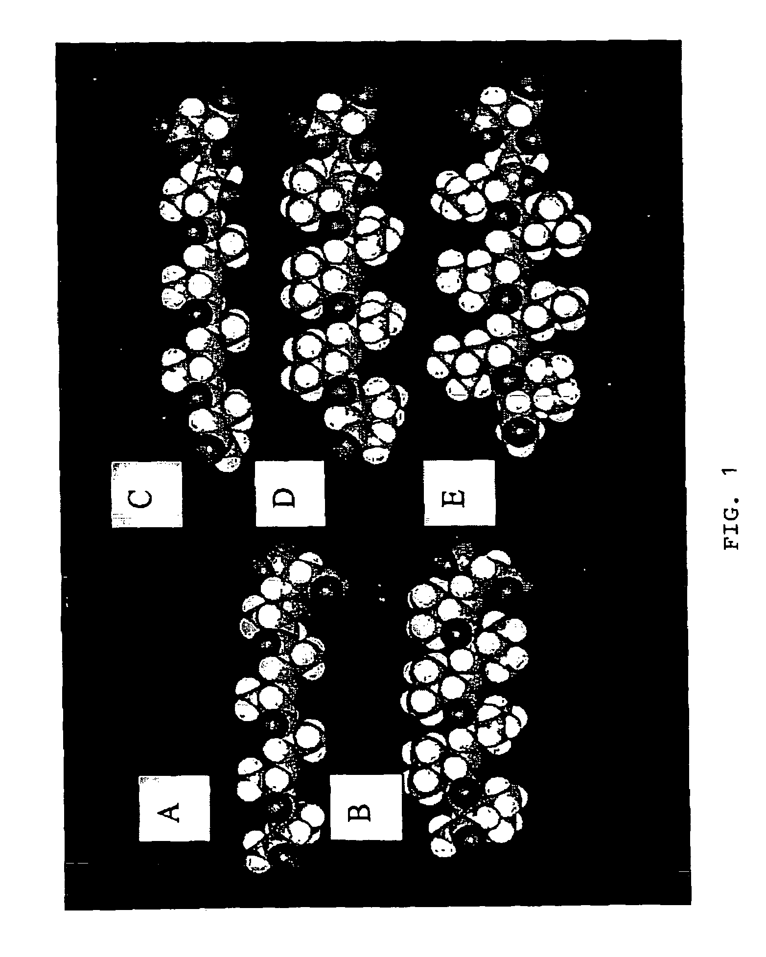 Surfactant peptide nanostructures, and uses thereof