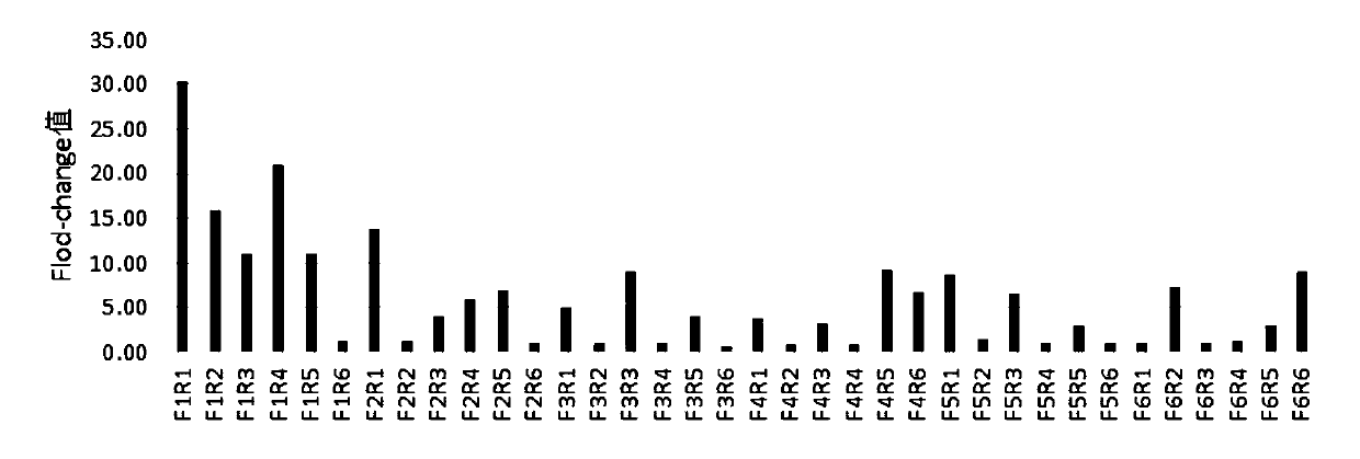 Primer group for rapid detection of 2019-nCoV based on CRISPR technology and application thereof