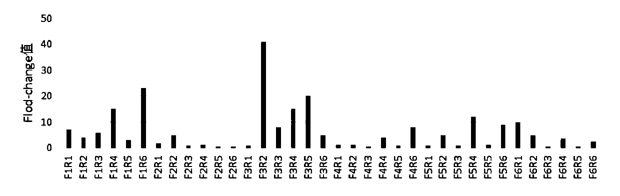 Primer group for rapid detection of 2019-nCoV based on CRISPR technology and application thereof