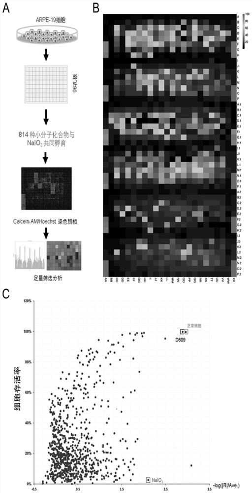 Application of d609 in the preparation of drugs for preventing and treating retinal damage diseases