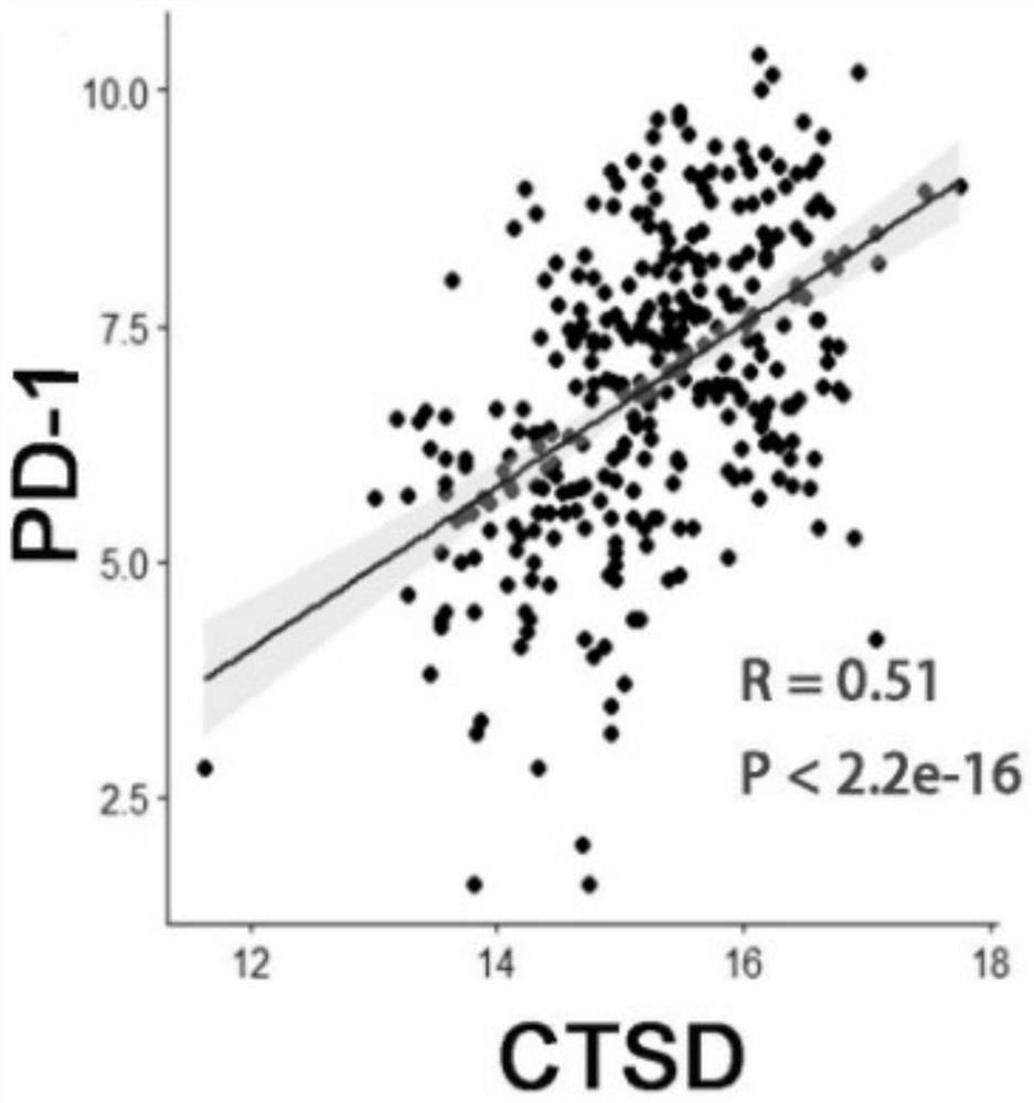 Application of CTSD as diagnostic marker in construction of lung squamous cell carcinoma prognostic prediction model