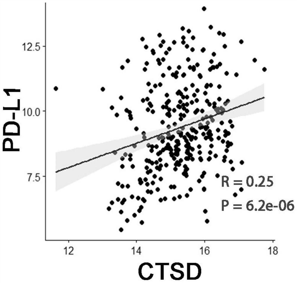 Application of CTSD as diagnostic marker in construction of lung squamous cell carcinoma prognostic prediction model