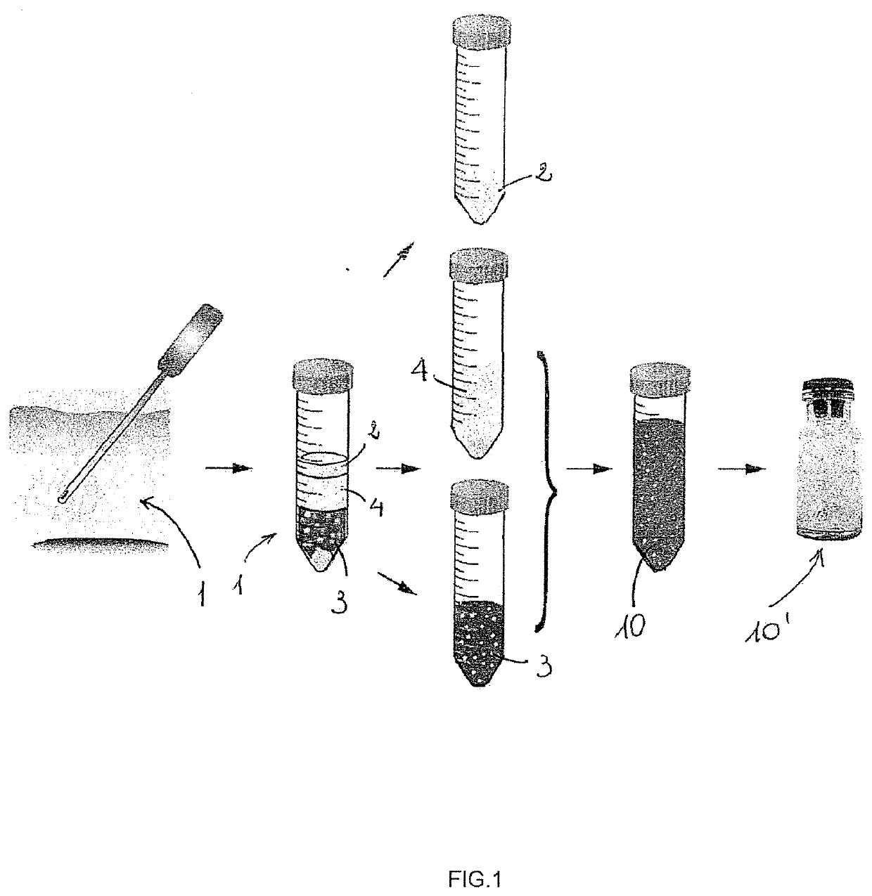 Catalyst for the regeneration of tissues and related method for making it