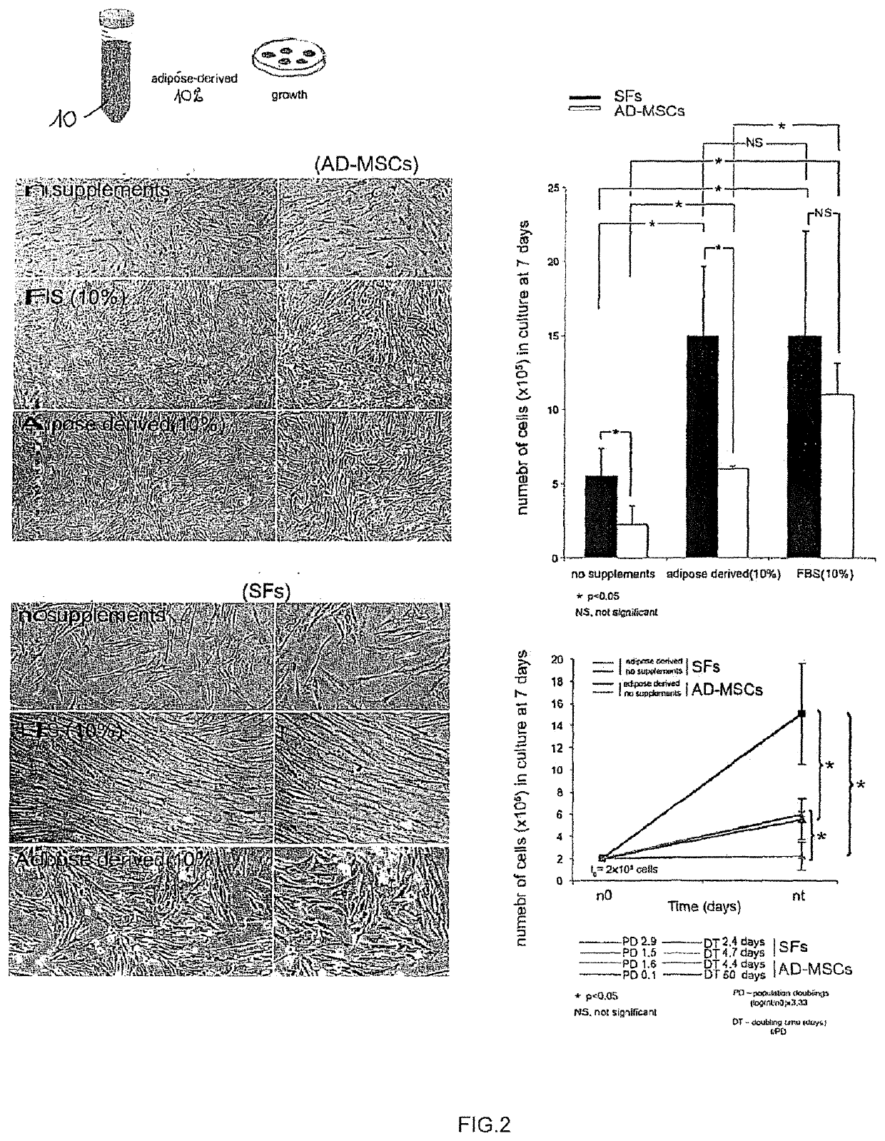 Catalyst for the regeneration of tissues and related method for making it