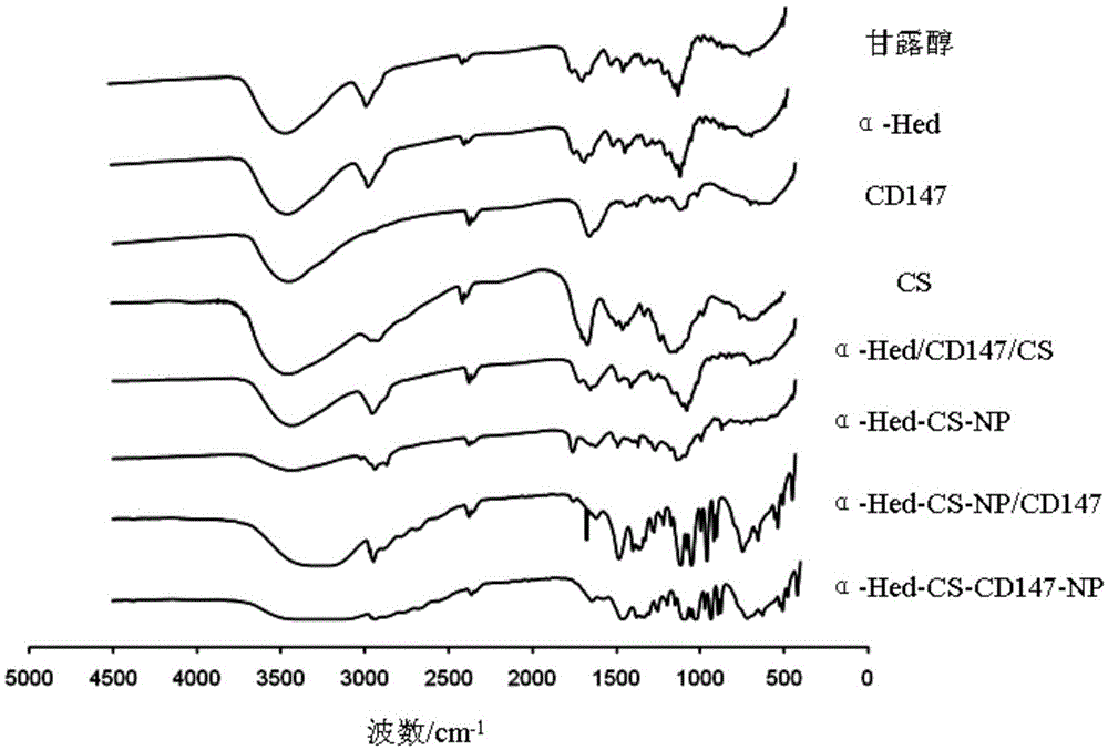 A kind of α-hed-cs-cd147 nanoparticle and its preparation method, application and preparation