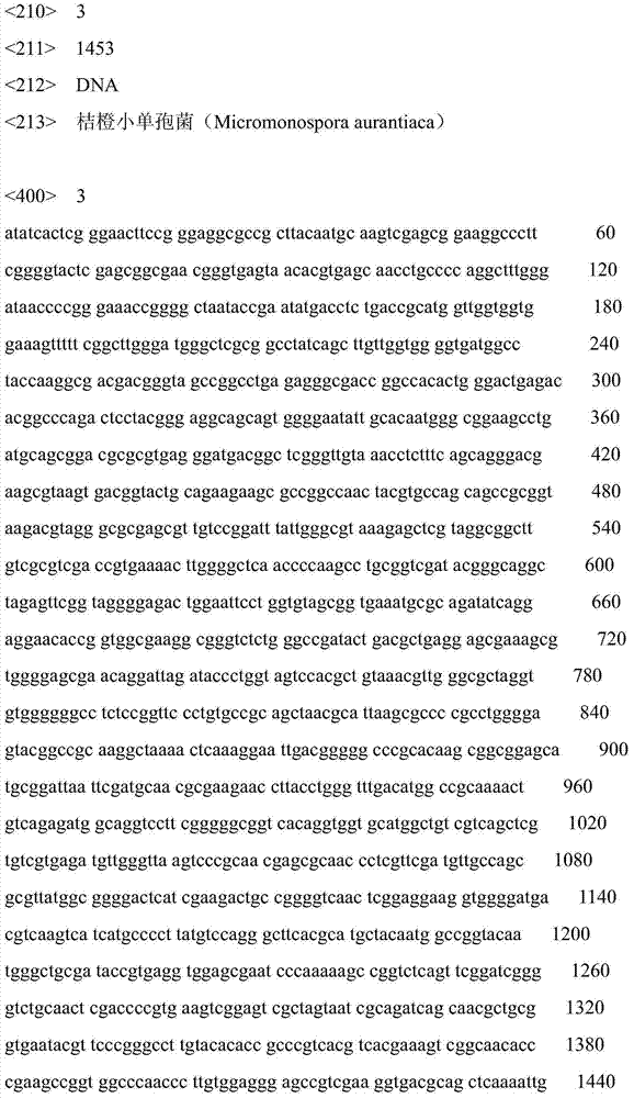 Micromonospora and application thereof