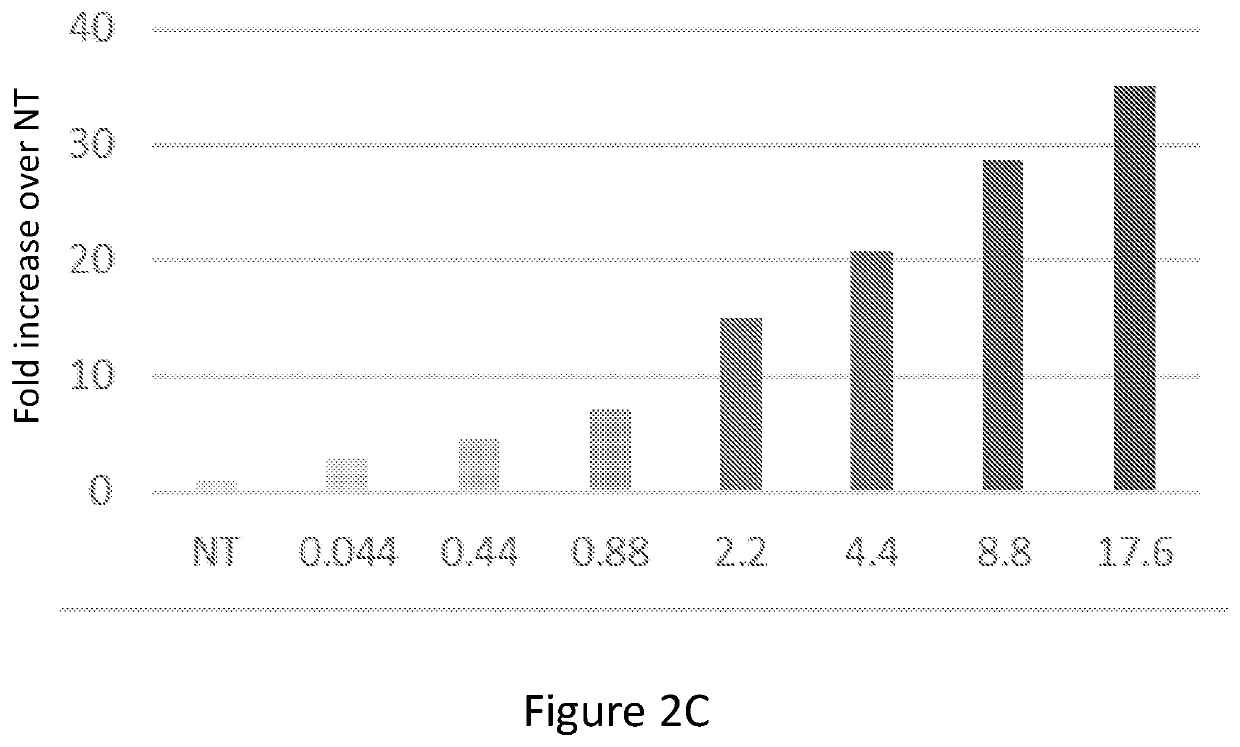 Mitochondrial augmentation therapy for primary mitochondrial diseases