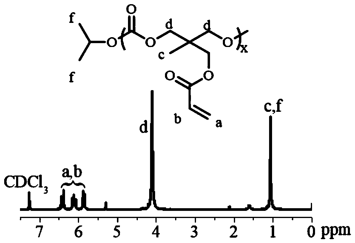 Biodegradable zwitterionic polycarbonate and application thereof