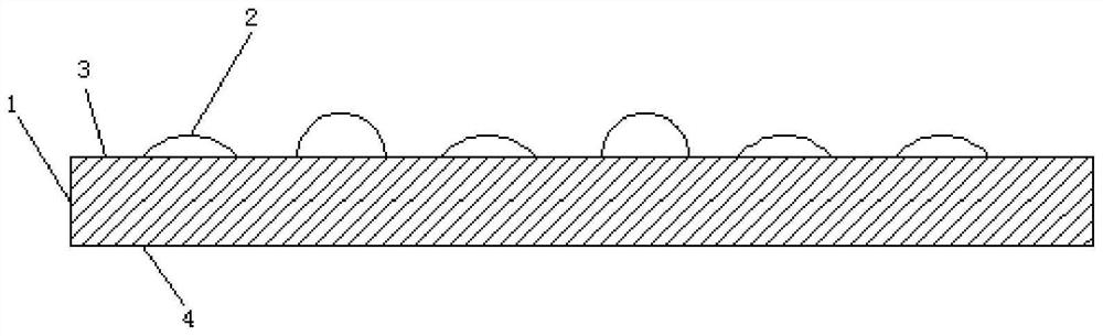 Preparation method of knitted fabric with differential water conduction function