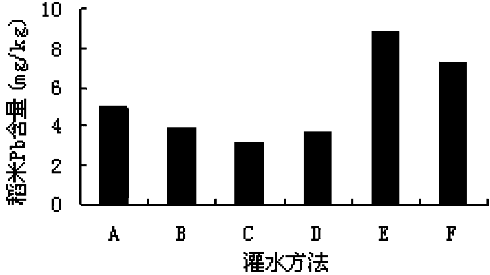 Paddy field irrigation method for reducing lead content of paddy