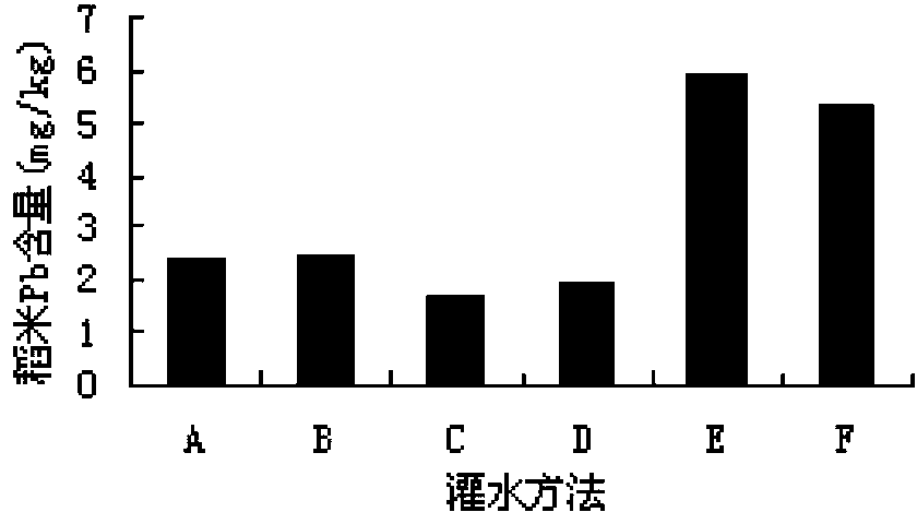 Paddy field irrigation method for reducing lead content of paddy