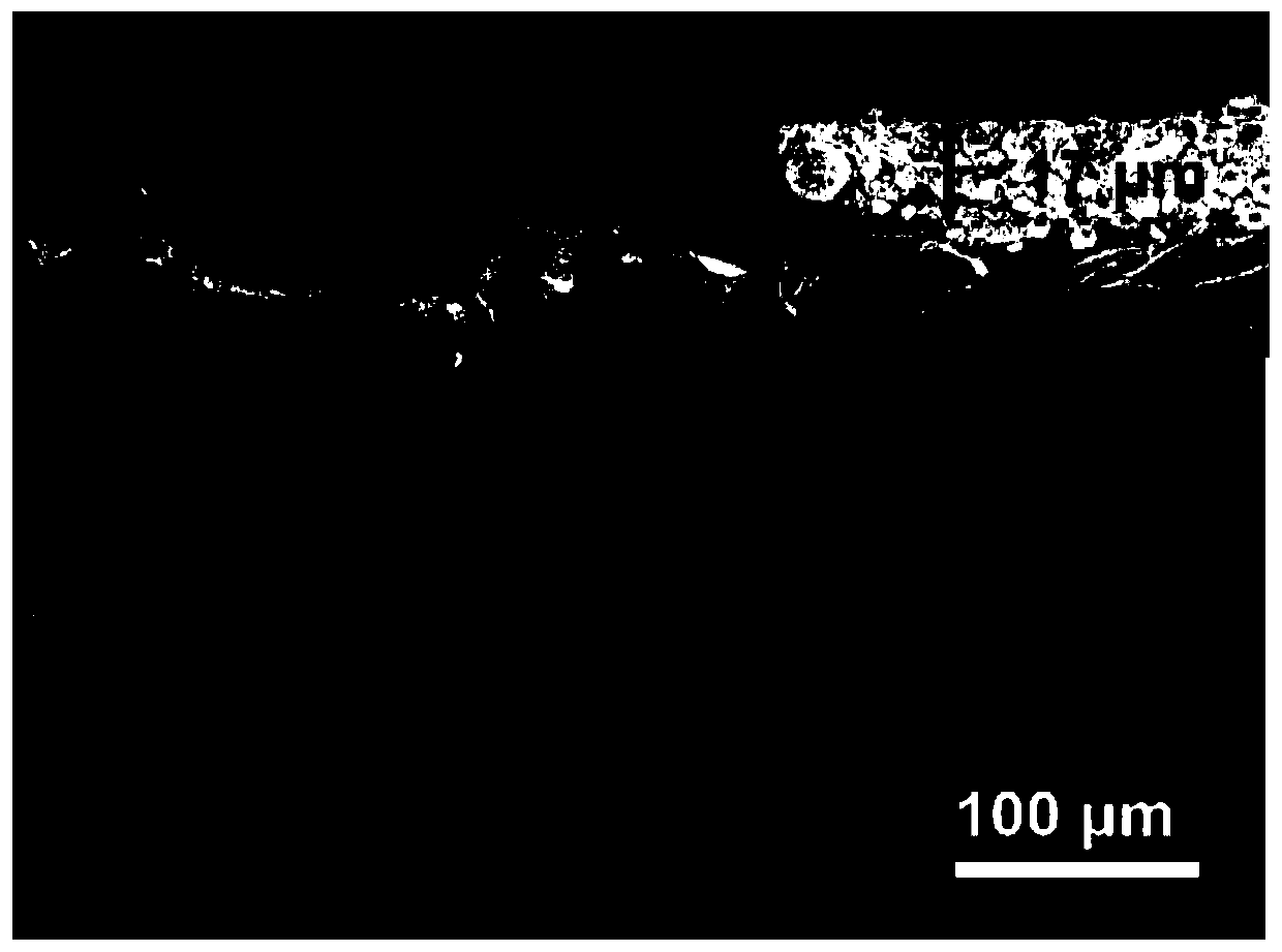 Preparation method and application of low-volume-change metal secondary battery negative electrode