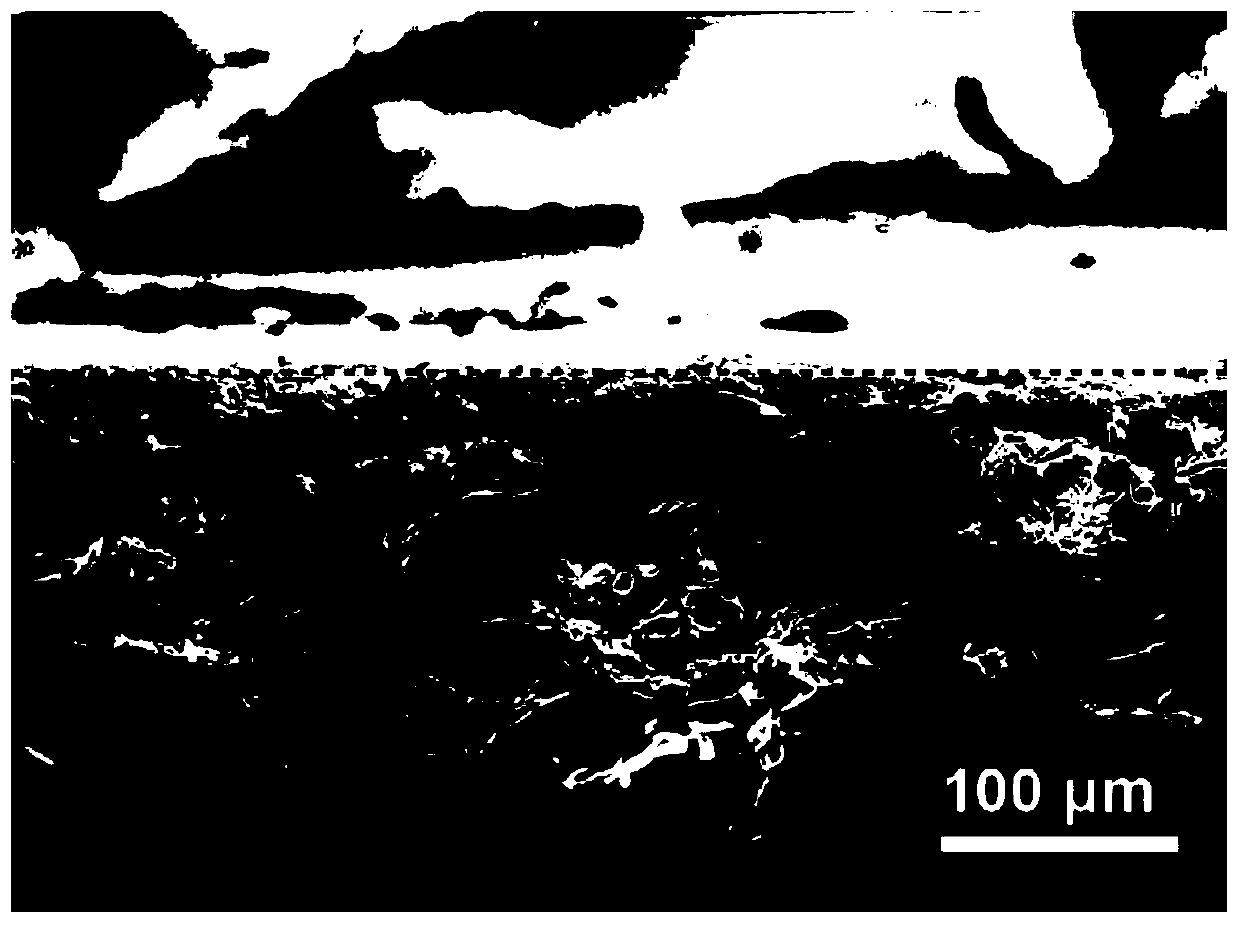 Preparation method and application of low-volume-change metal secondary battery negative electrode