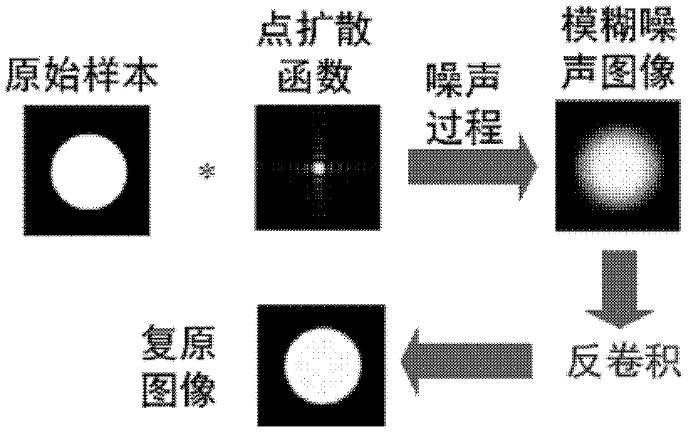 Fluorescent microscopic image restoring method based on blind deconvolution and sparse representation and device thereof